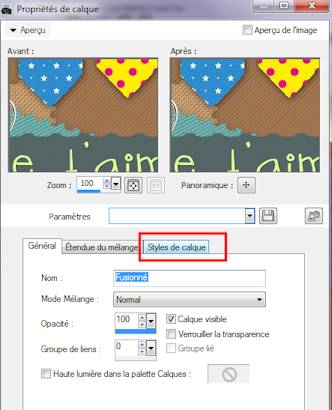 styles de calque
